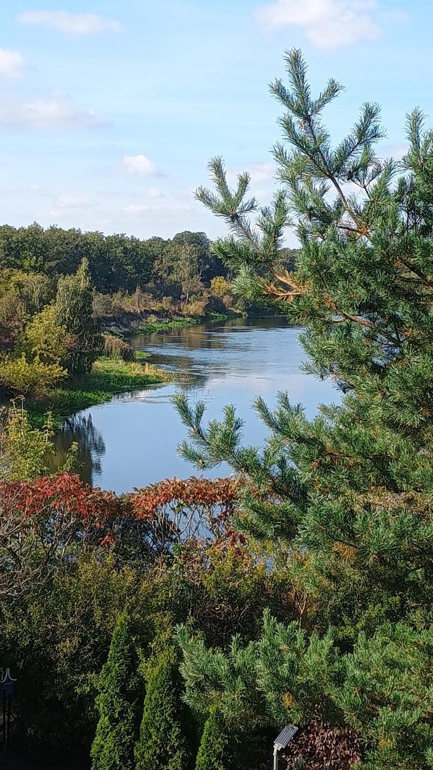 Dom letniskowy do wynajęcia z własną Przystanią nad rzeką Narew - linia brzegowa House in Masovian Voivodeship