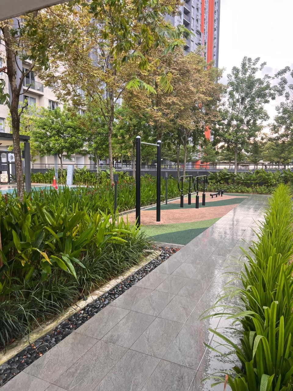 Garden view