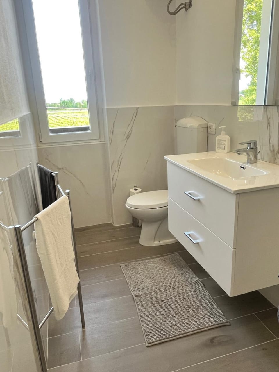 Shower, Toilet, towels