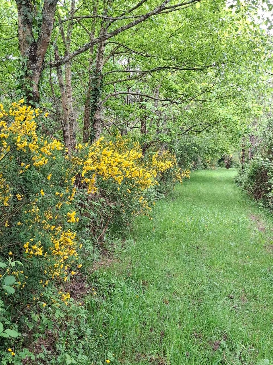 Natural landscape