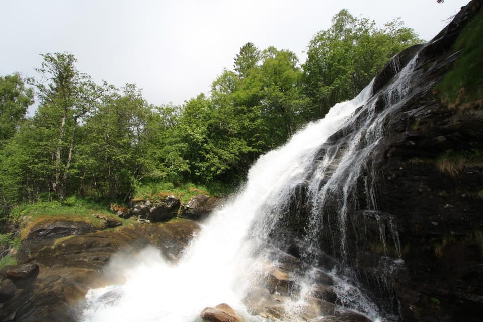 Day, Natural landscape
