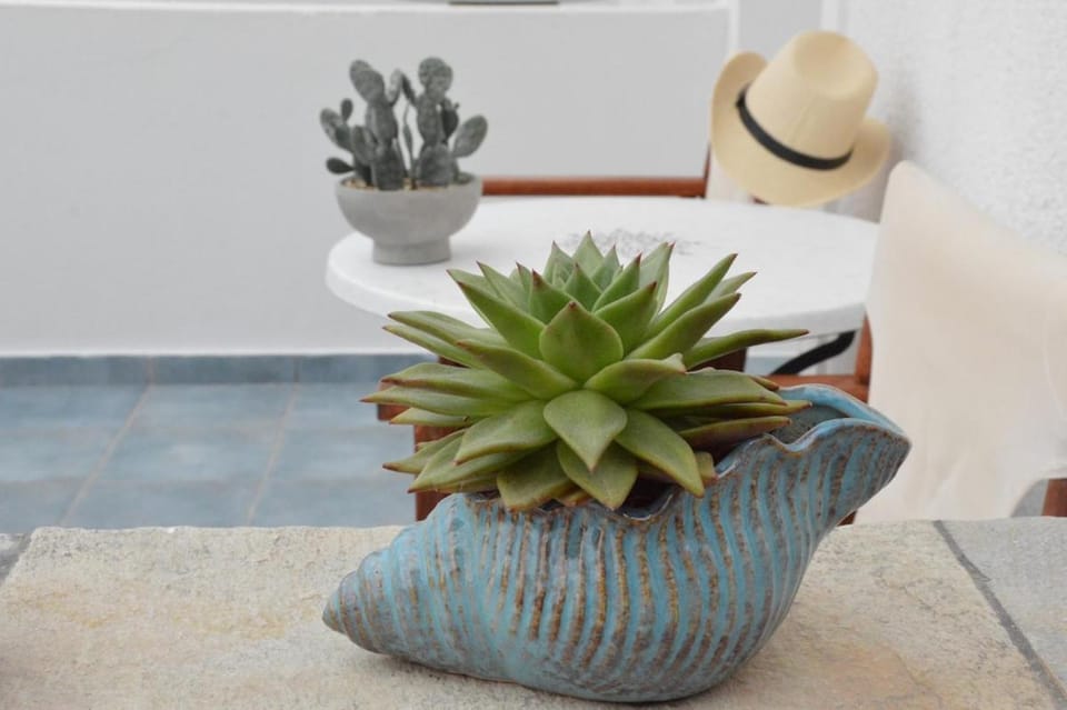 Giorgantis Studio II Apartment in Milos