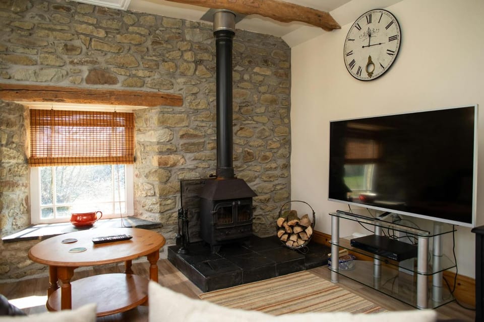 TV and multimedia, Living room, fireplace