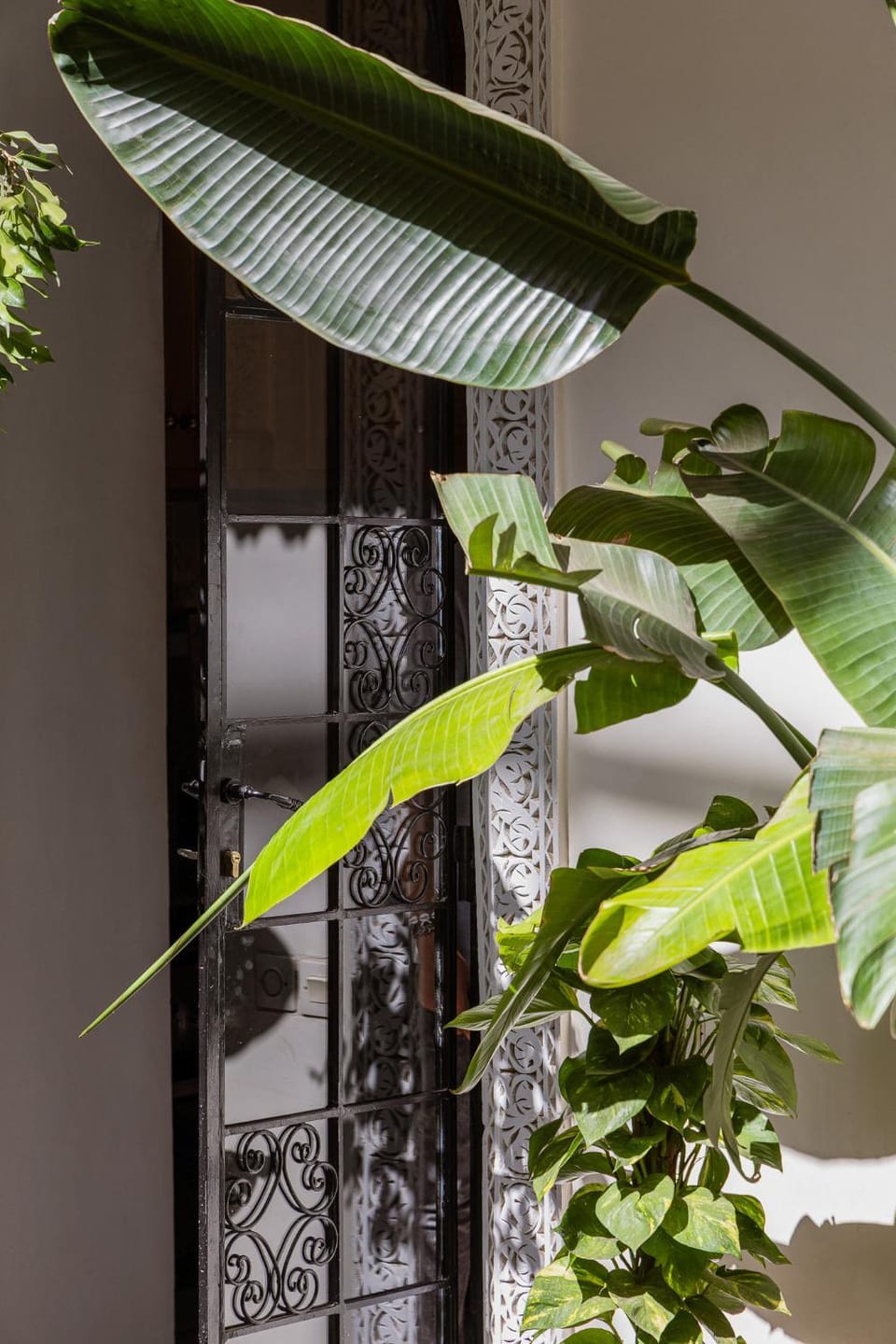Riad Olma Riad in Marrakesh