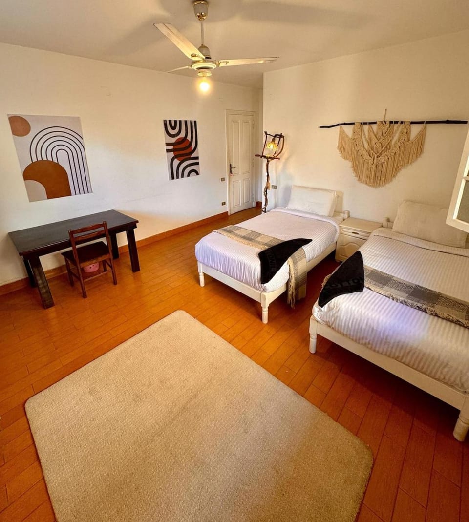 Bed, Seating area, Bedroom
