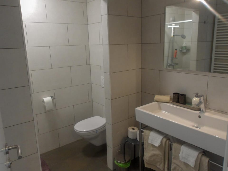 Shower, Toilet, Bathroom, towels