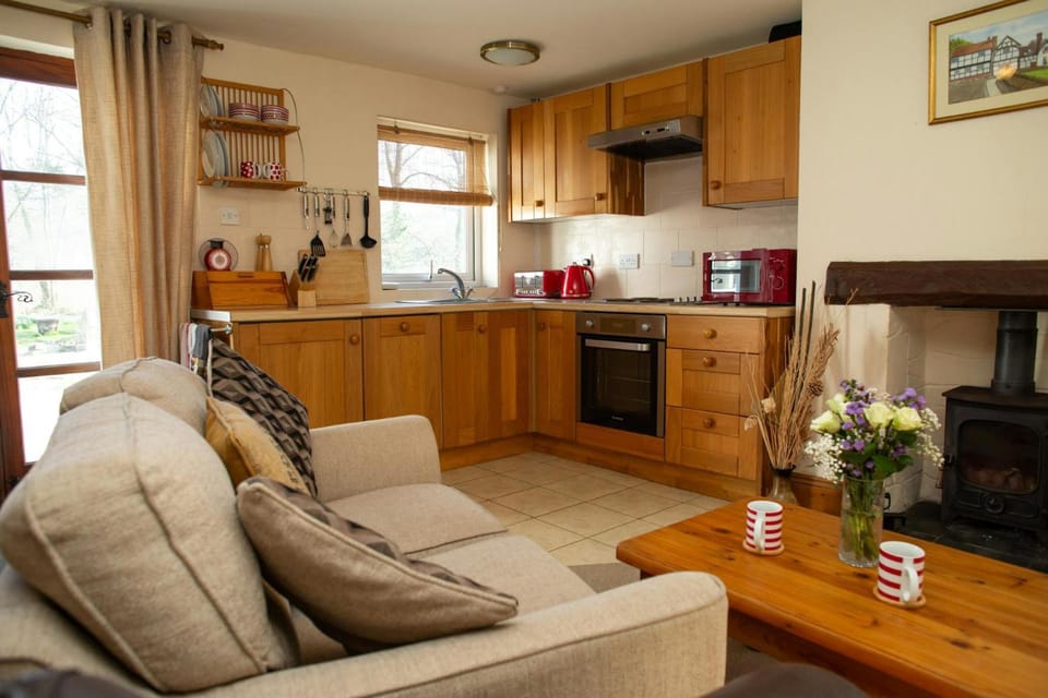 Kitchen or kitchenette, Living room, fireplace, microwave, oven, stove, toaster