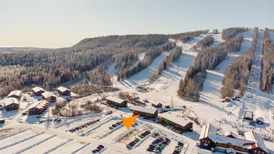 Skiing