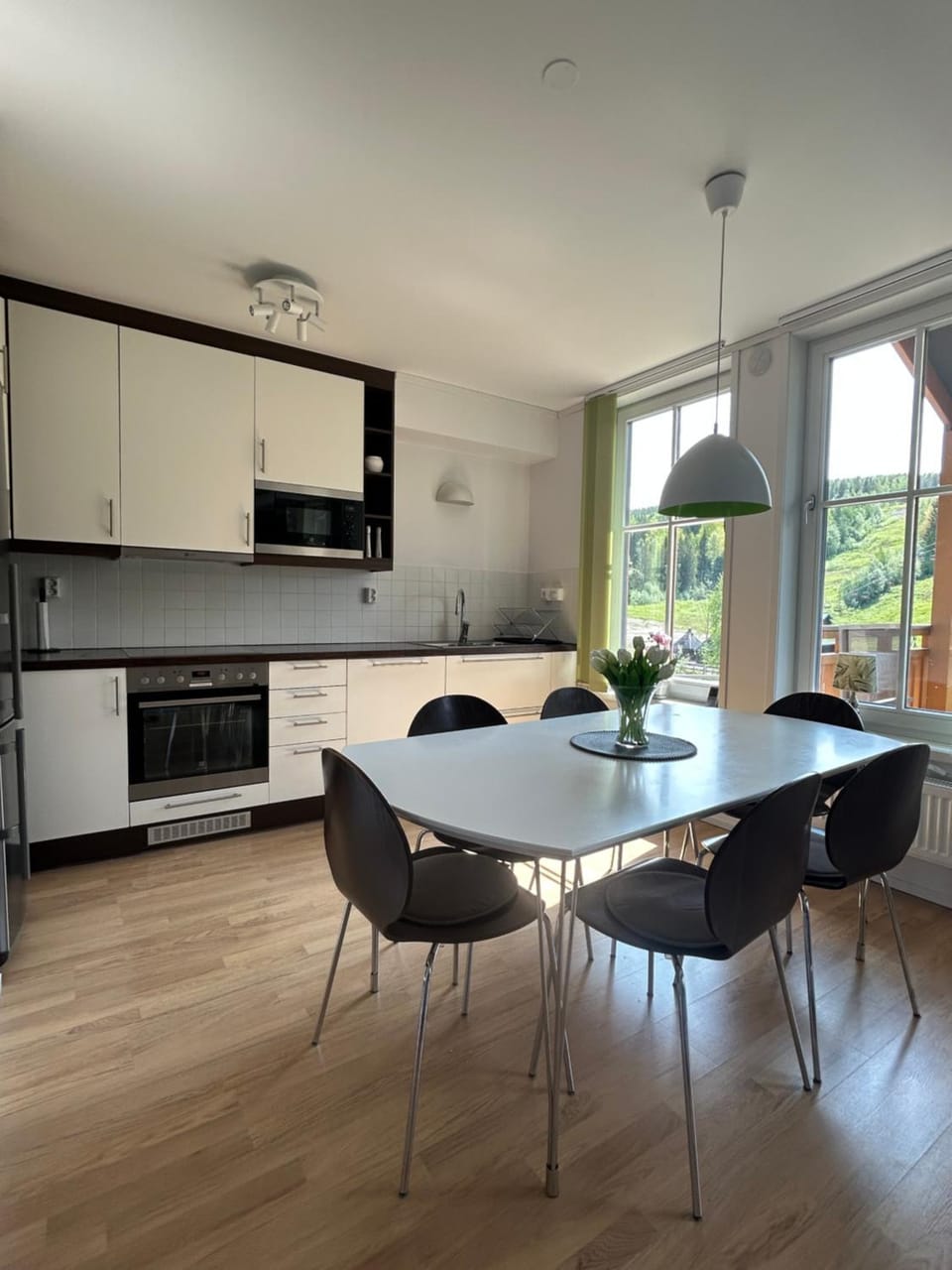 Kitchen or kitchenette, Dining area, dishwasher, stove