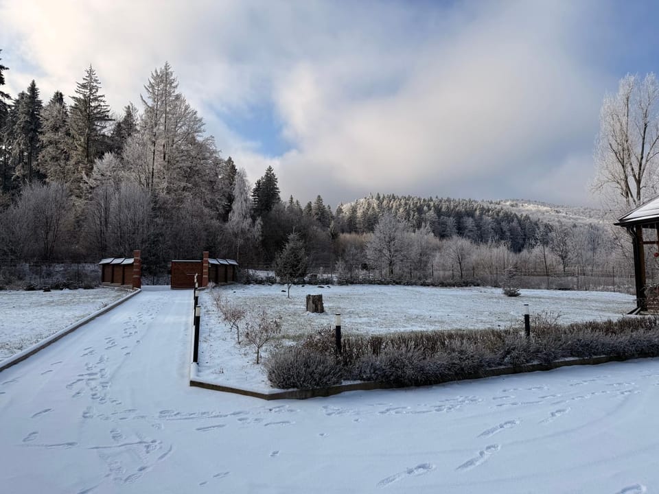 Winter