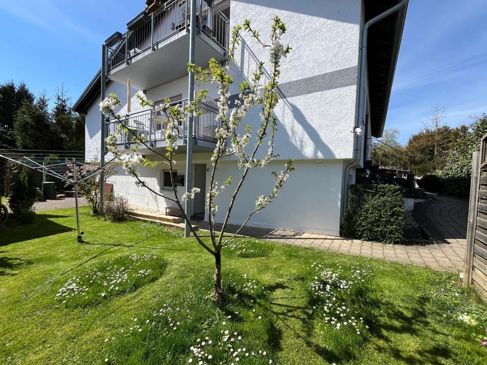 Property building, Facade/entrance, Garden