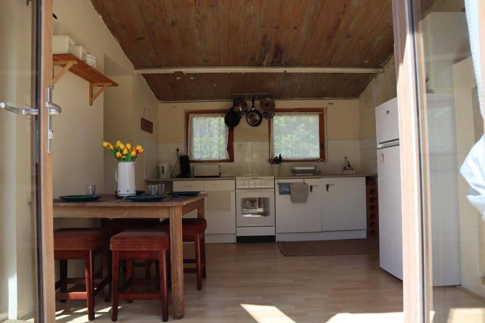 Kitchen or kitchenette, Dining area, oven