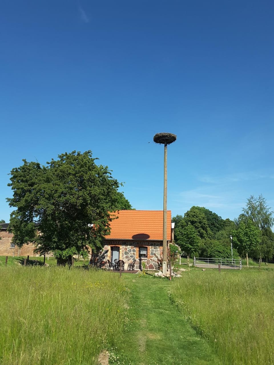 Garden view