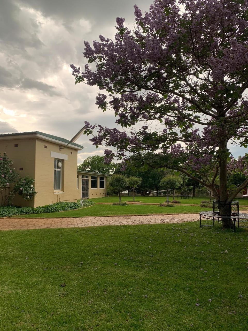 Spring, Garden, Garden view