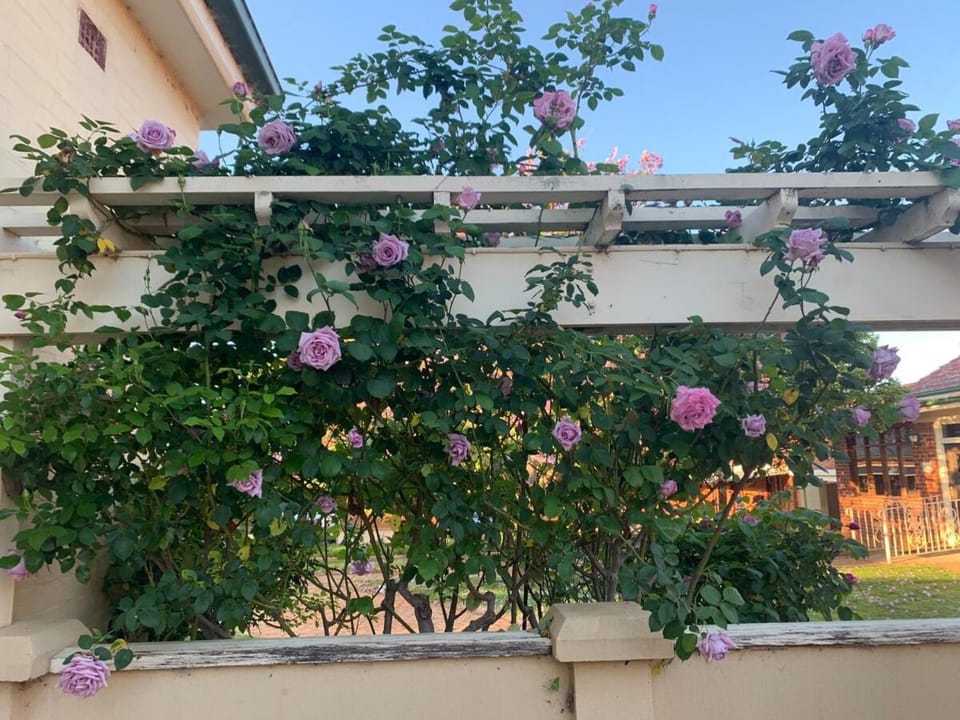 Garden, Garden view