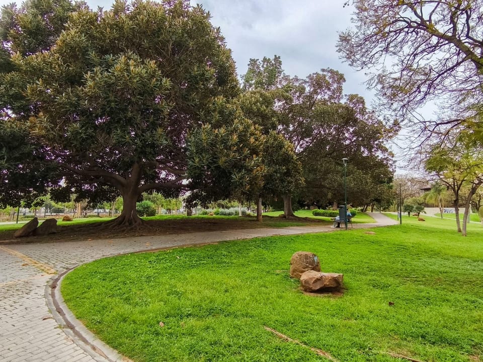 Estudio Huelin Playa Apartment in Malaga