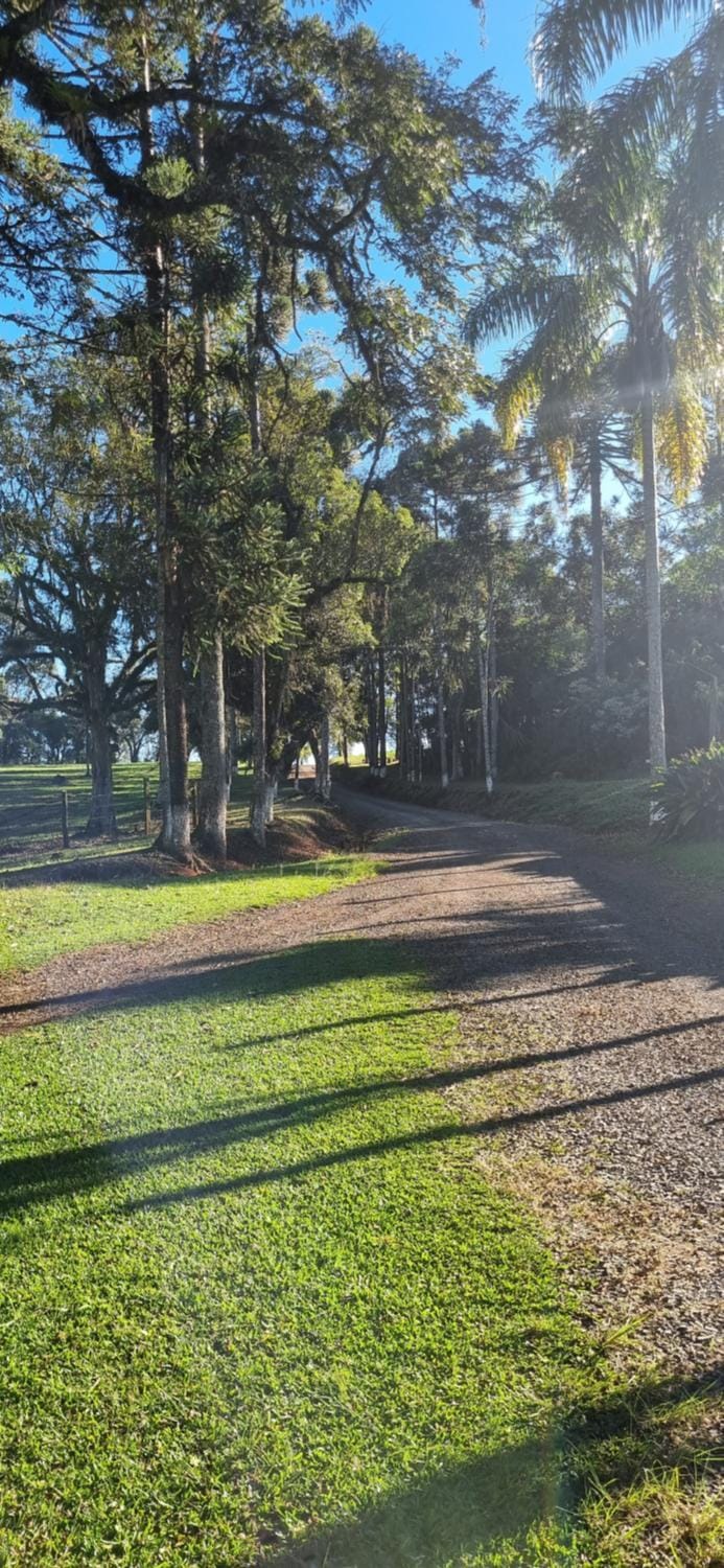 Natural landscape, Garden view
