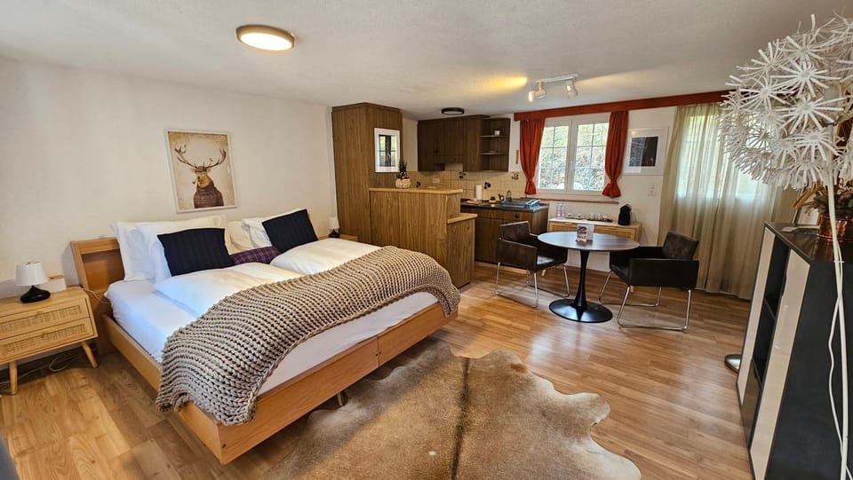 Bed, TV and multimedia, Kitchen or kitchenette, Photo of the whole room, Seating area, Dining area, Bedroom