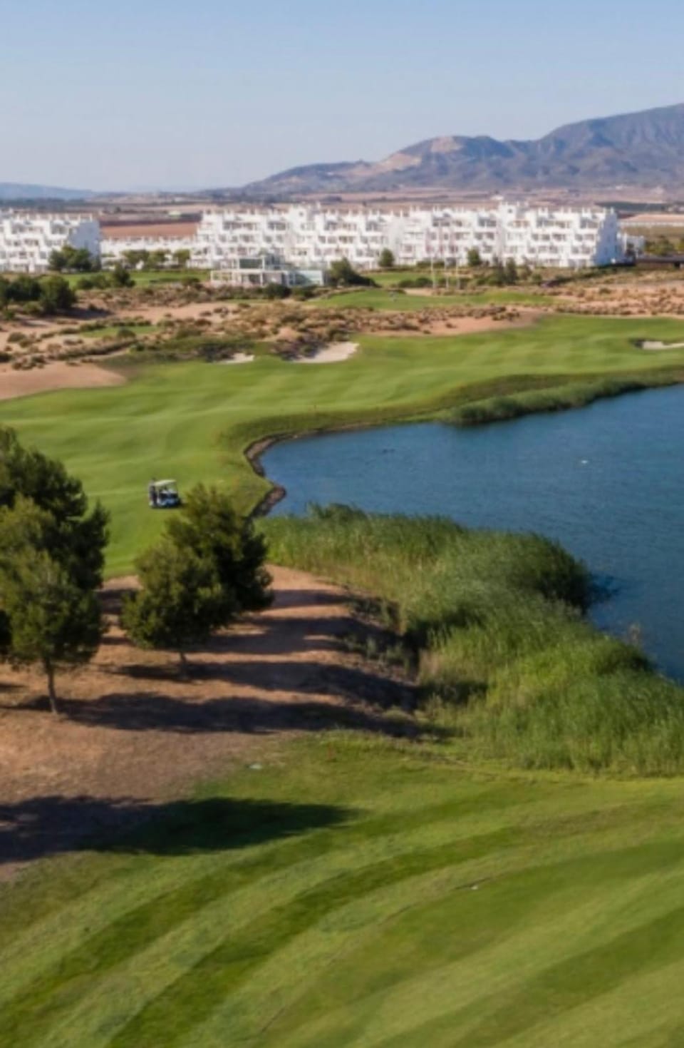 Bird's eye view, Golfcourse