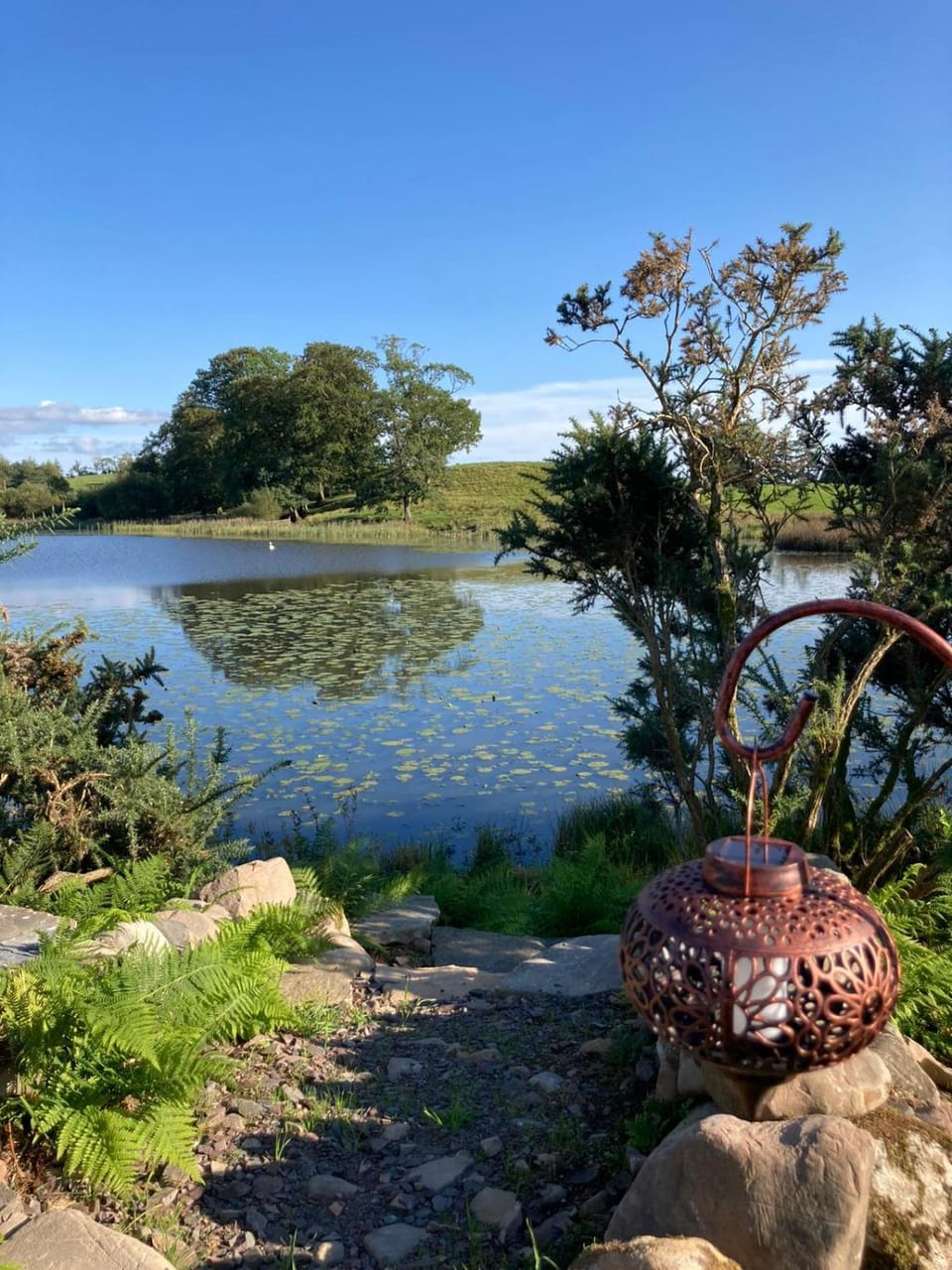 Lake view