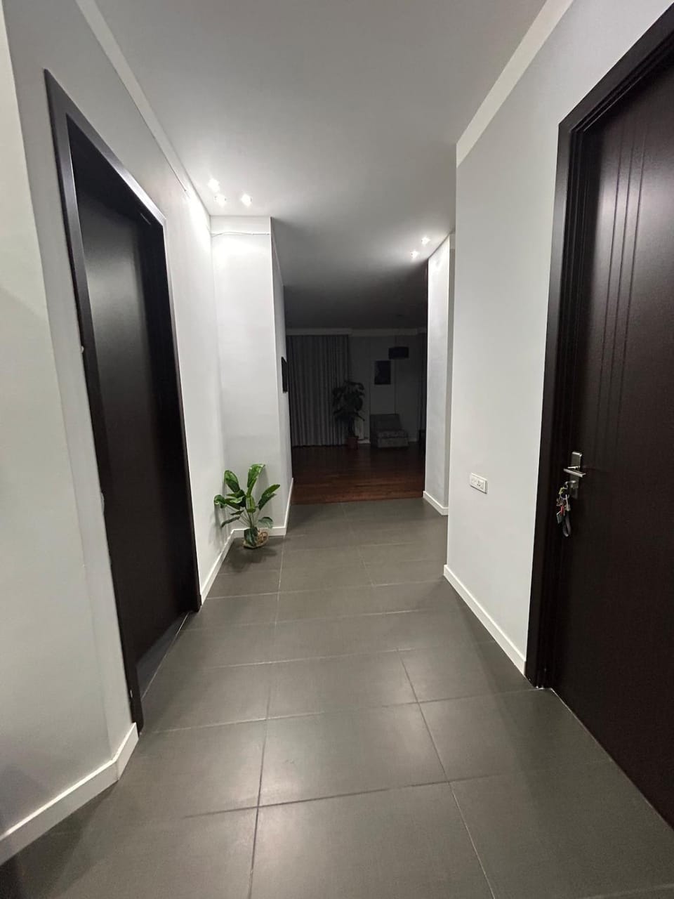 Comfortable, warm house, Apartment in Tbilisi, Georgia