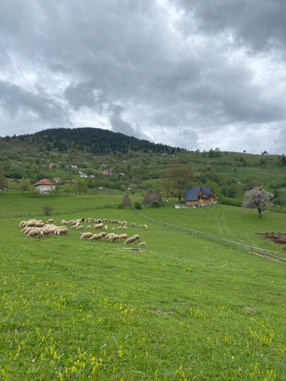 Natural landscape, Mountain view