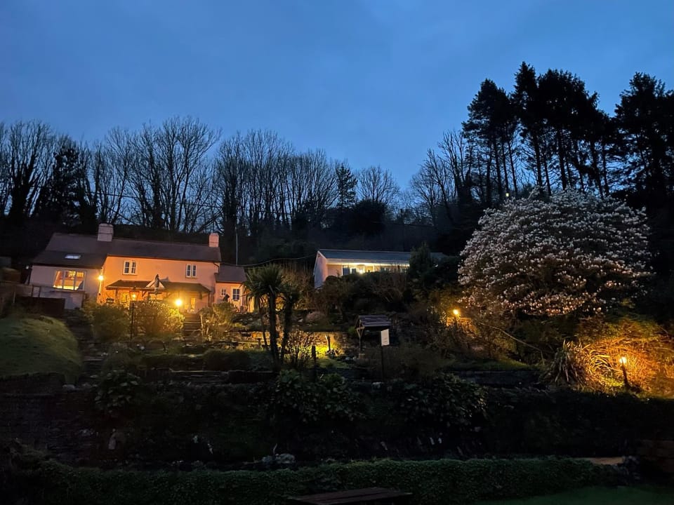 Night, Garden