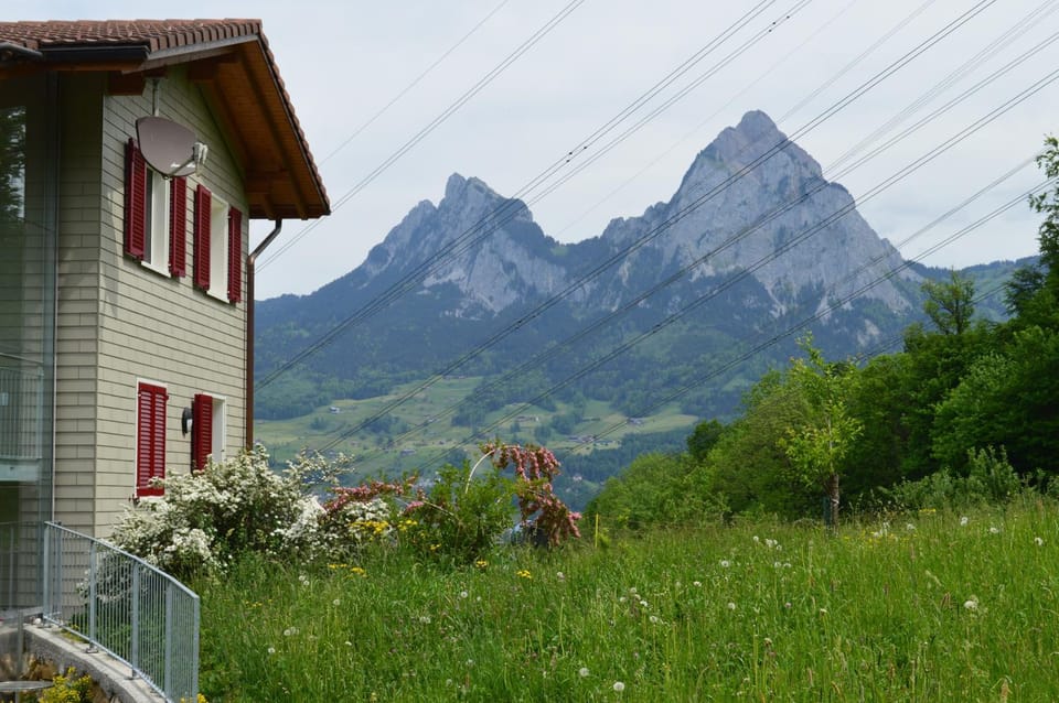 Mountain view