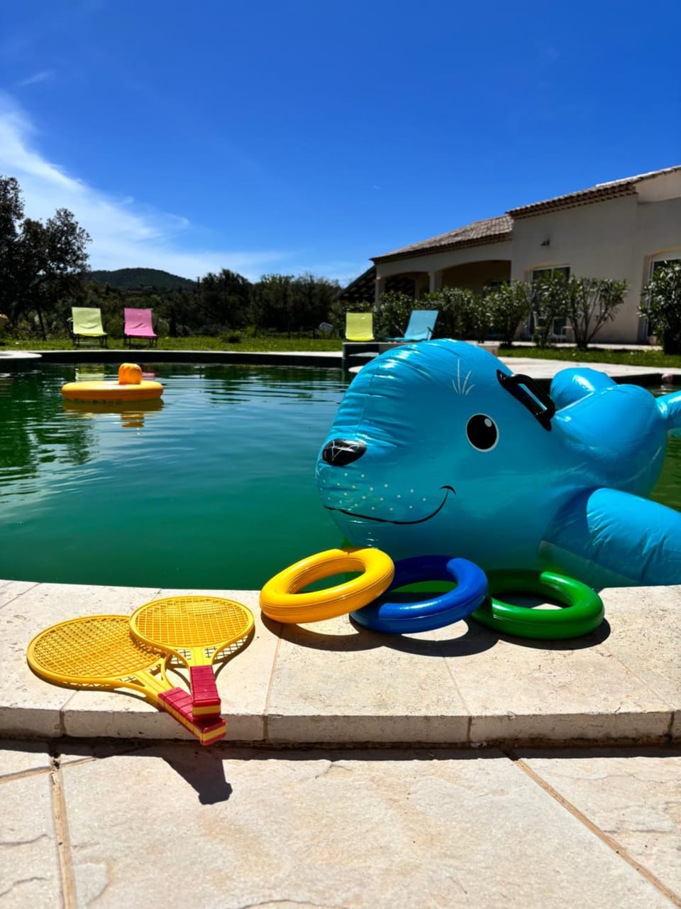 Swimming pool, Swimming pool