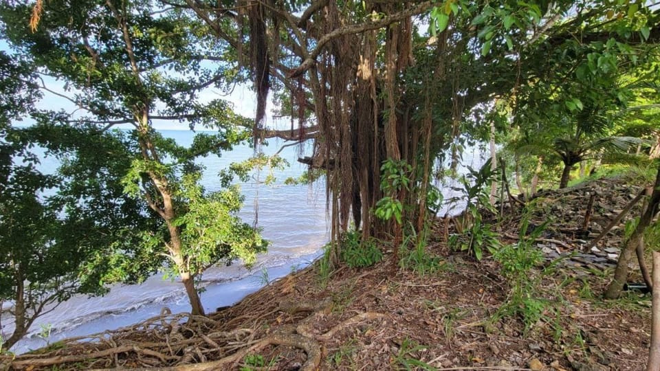 Natural landscape