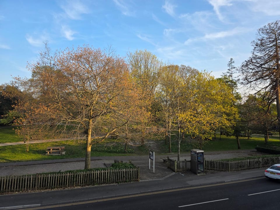 Garden, Garden view