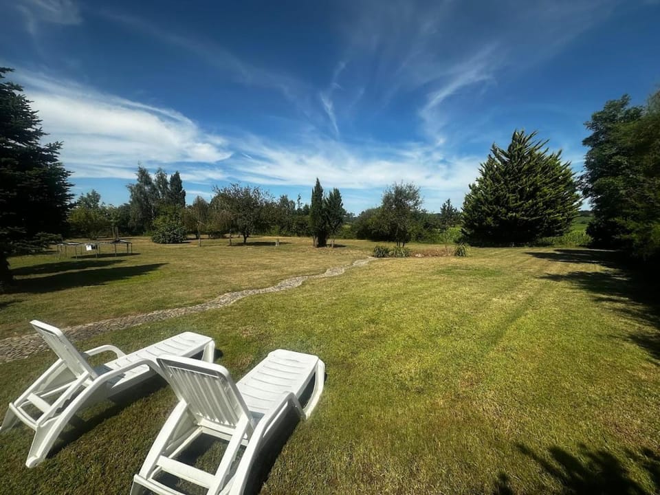 Patio, Natural landscape, Garden, Garden view, sunbed