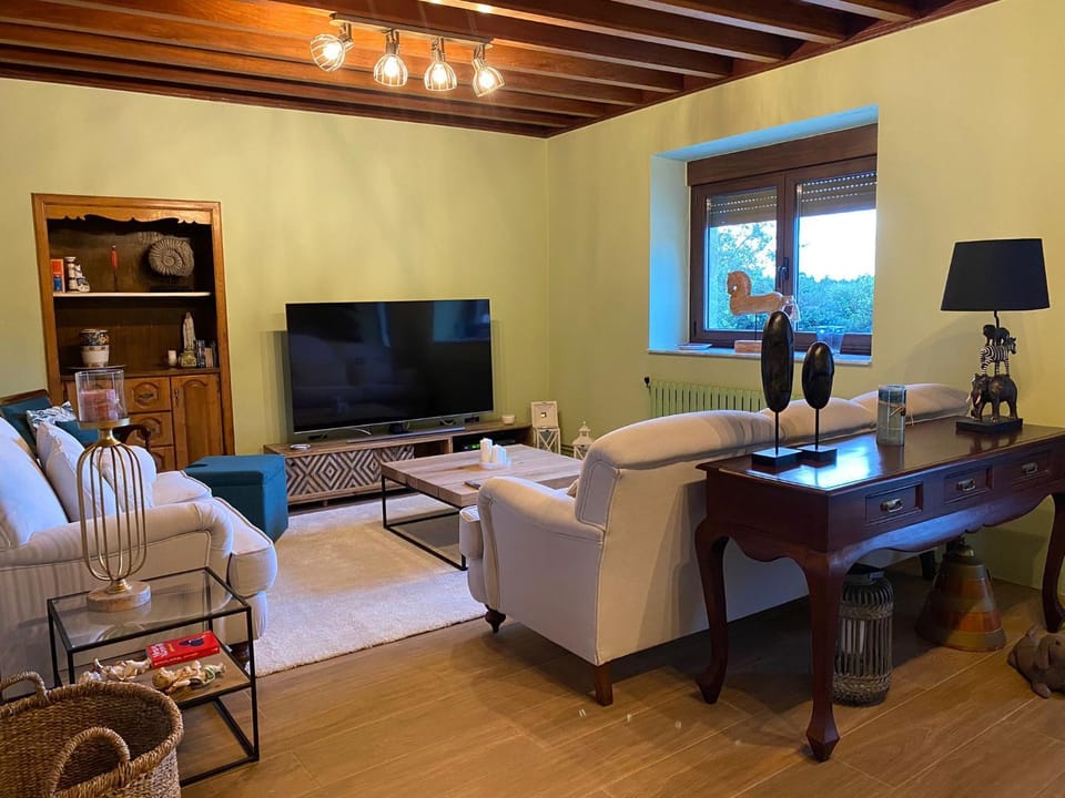 TV and multimedia, Living room