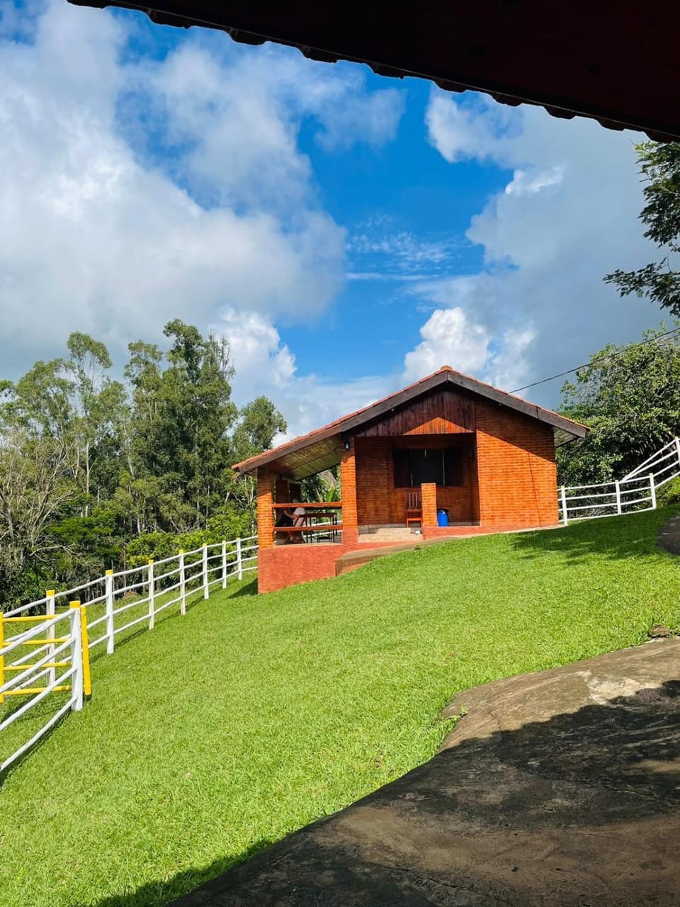 Natural landscape, Garden, Garden view