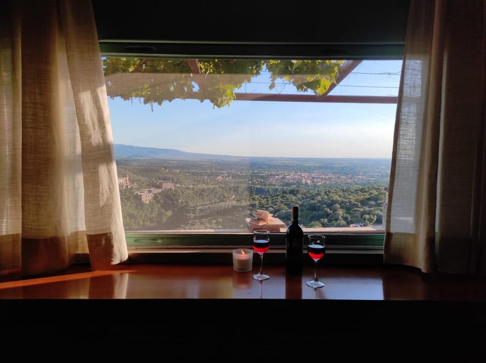 View (from property/room)
