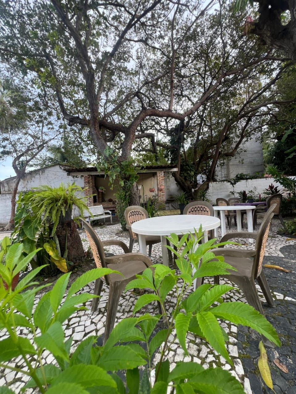 Paraíso jeri Nature lodge in Jericoacoara