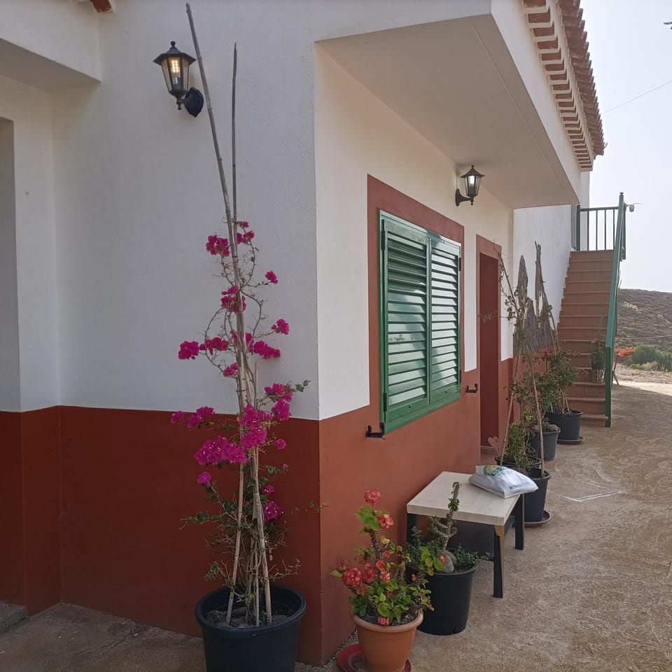 Patio, Garden view