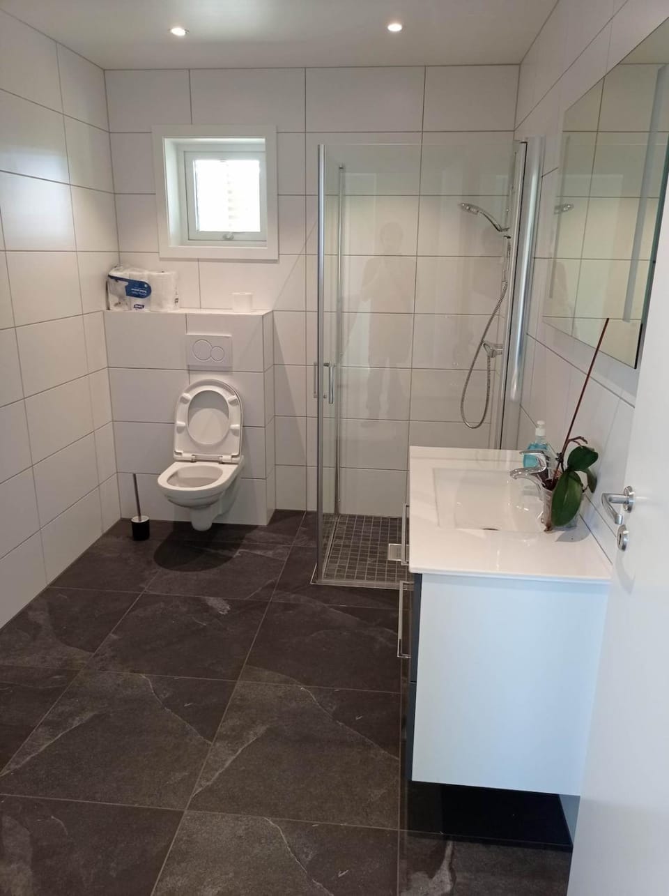 Shower, Toilet, Bathroom