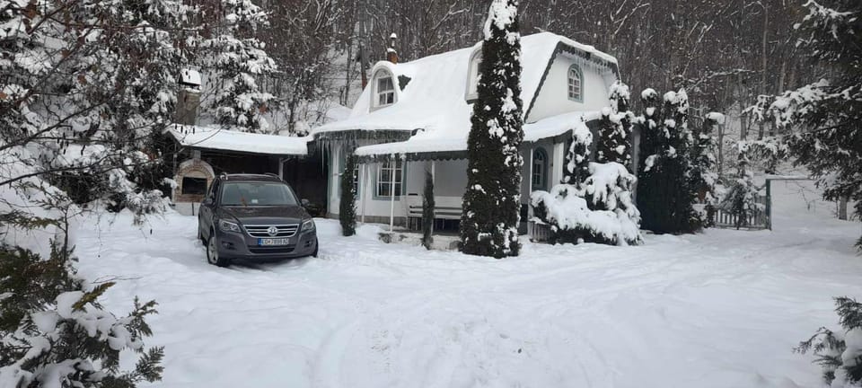 Property building, Natural landscape, Winter