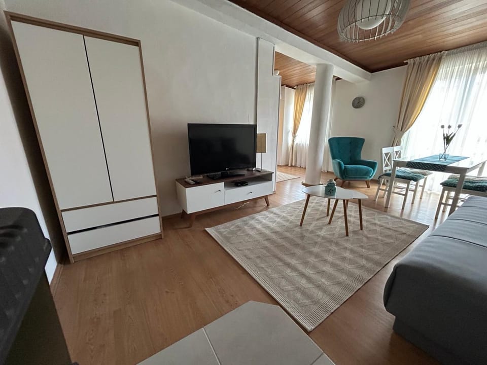 TV and multimedia, Living room, Seating area, wardrobe