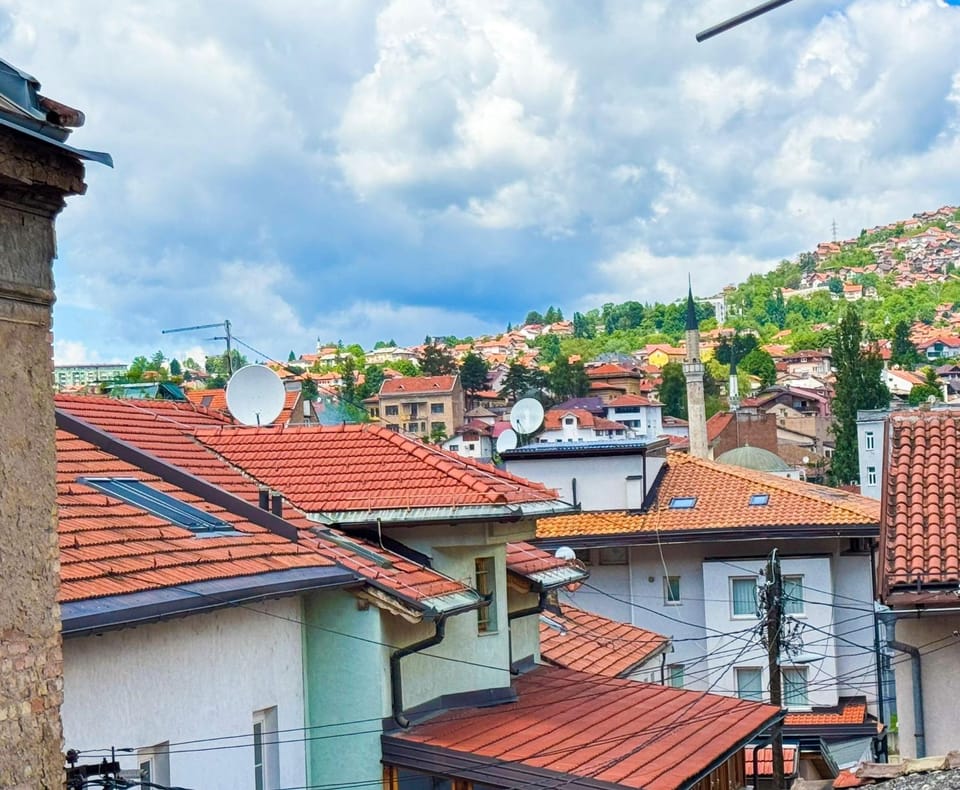 Neighbourhood, Natural landscape, Street view