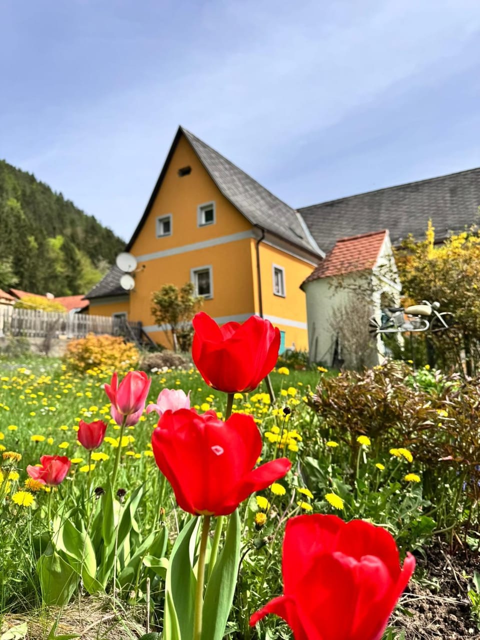 Property building, Garden, Garden
