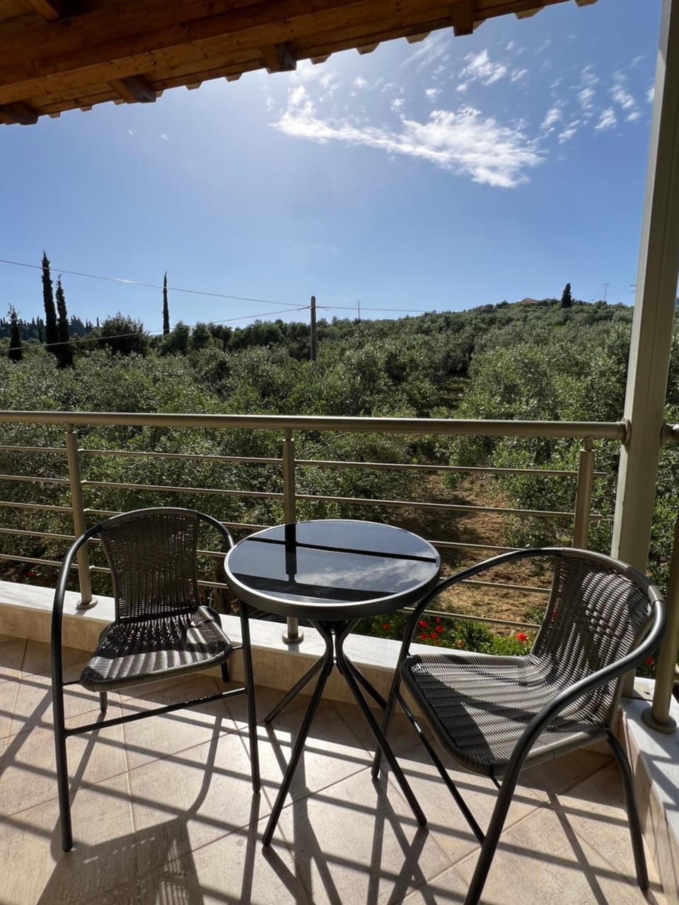 Garden, Balcony/Terrace