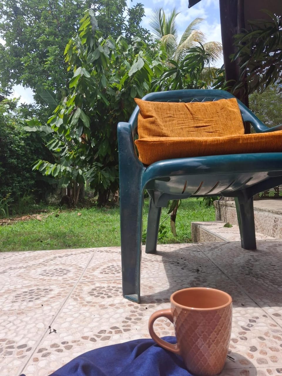 Garden view