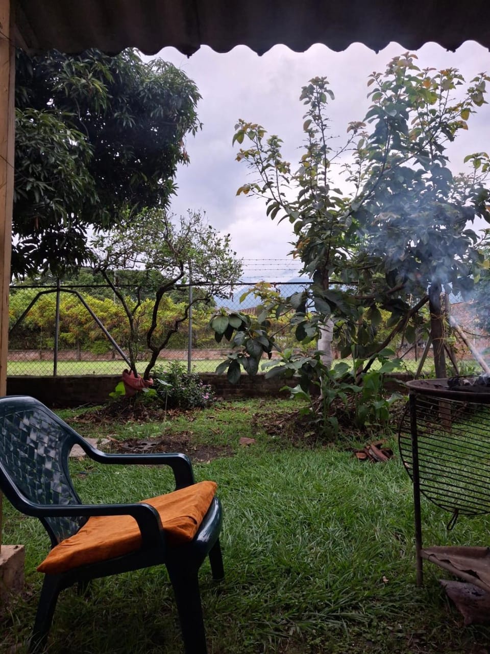 Garden view