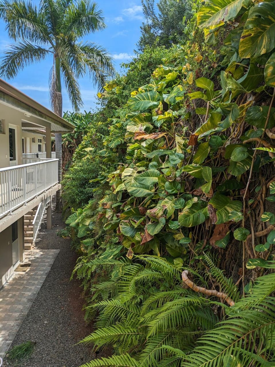 Manahau Lodge Apartment in Pape'ete