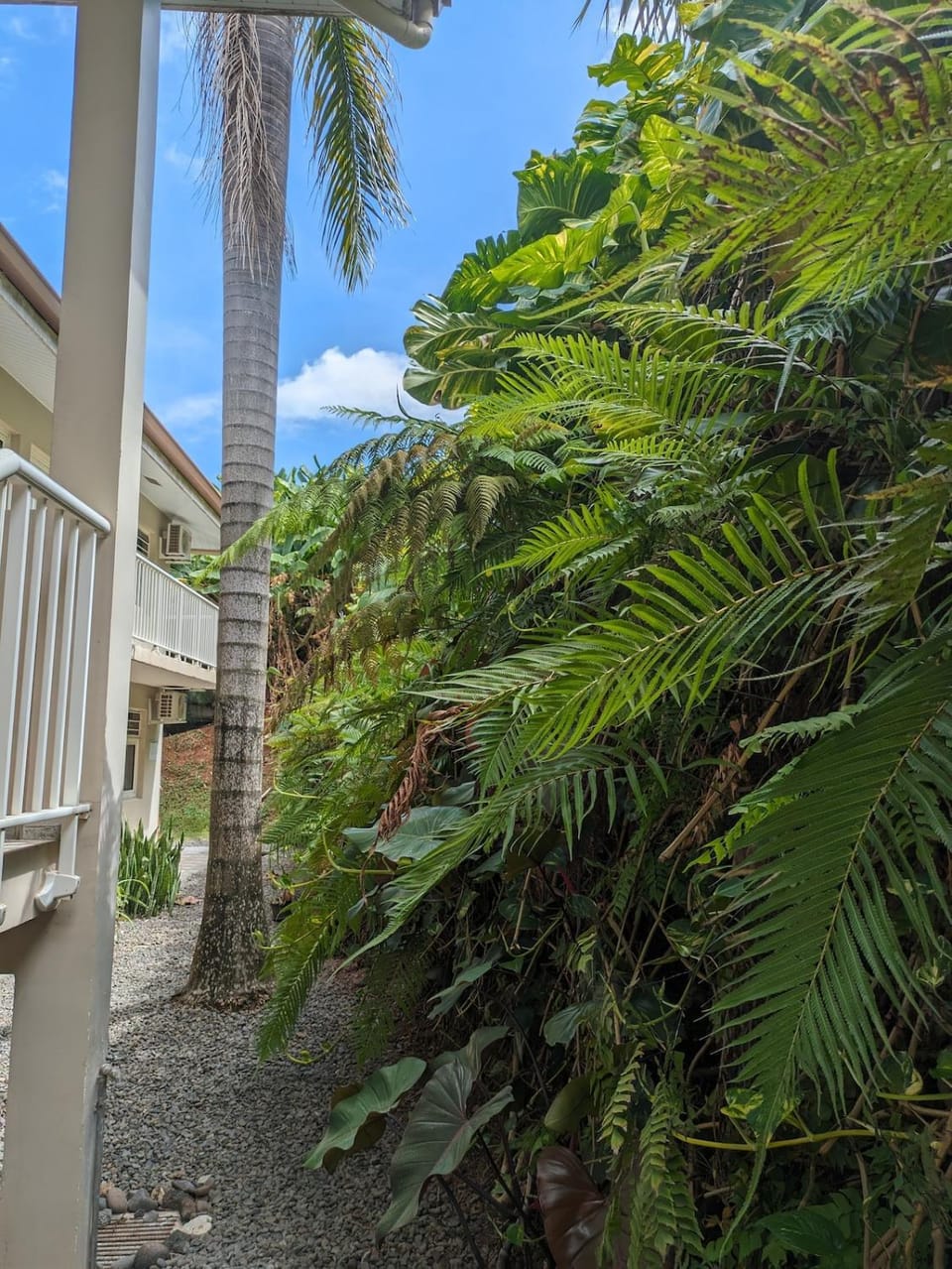 Manahau Lodge Apartment in Pape'ete