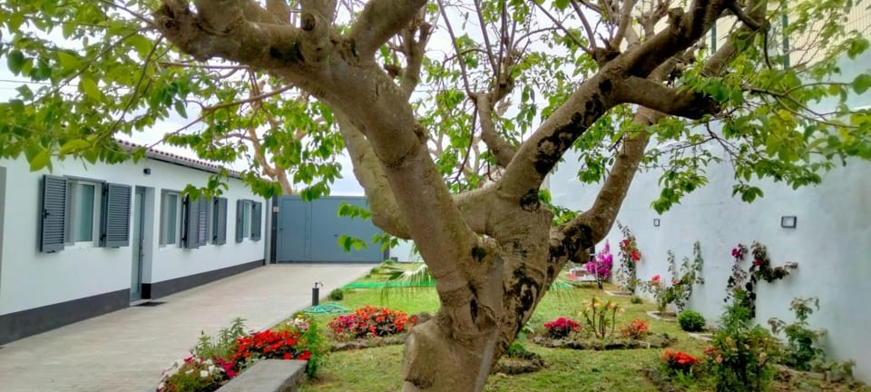 Casa Belém 5 House in Ponta Delgada