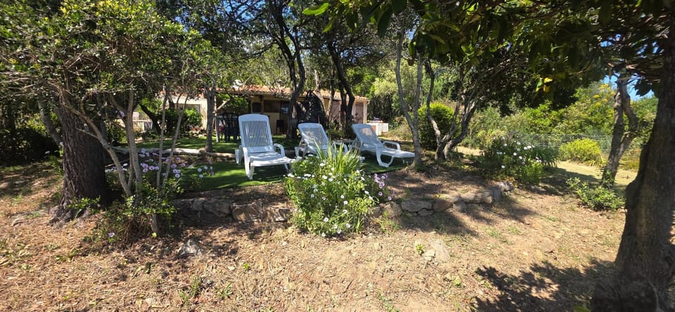 Villa pied dans l eau Villa in Sari-Solenzara