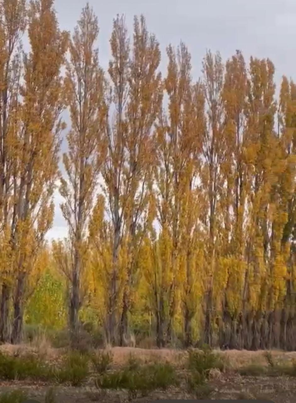 Natural landscape